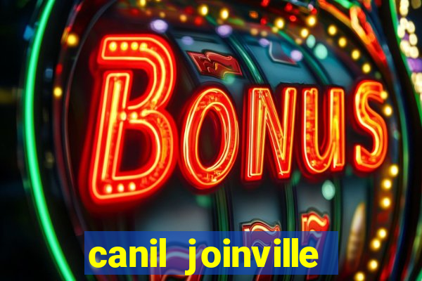 canil joinville vila nova